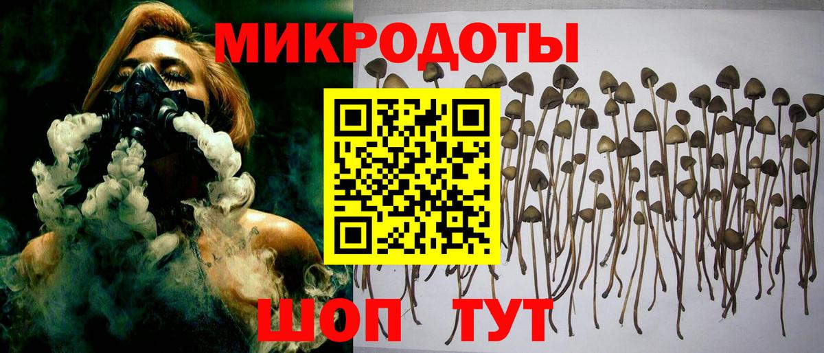 Галлюциногенные грибы Cubensis Зеленодольск